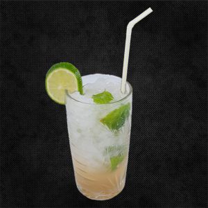 Mojito